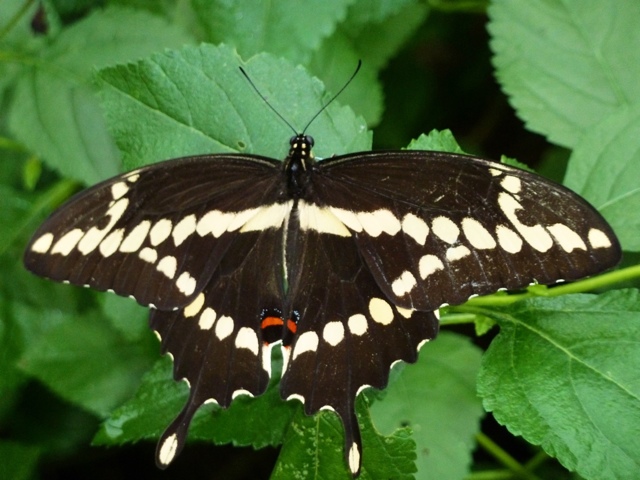 PGPhoto.jpg