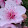 stephanie rodriguez stephanie rodriguez's profile photo