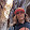 Jennifer Hauge Jennifer Hauge's profile photo