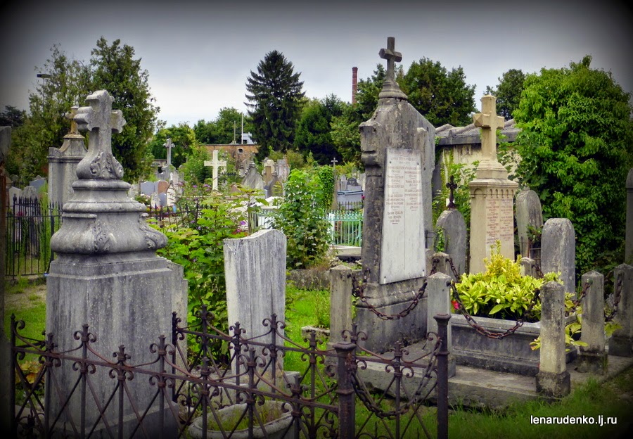 Искать кладбище во сне