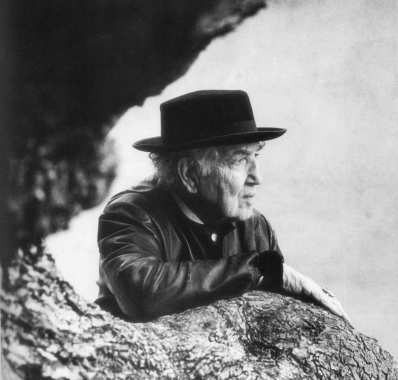 Robert graves poetry essay
