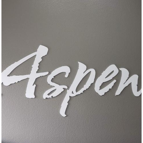 Aspen Salon & Day Spa logo