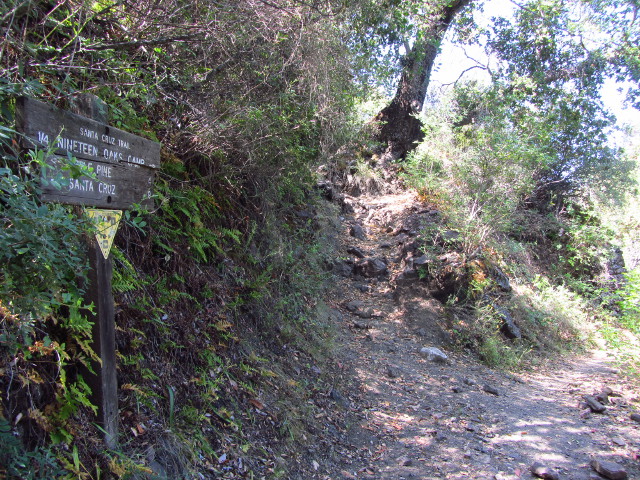 the route up to the campground