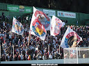 FORÇA INDEPENDENTE FALANGE GRENÁ