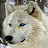 May Schminkey avatar image