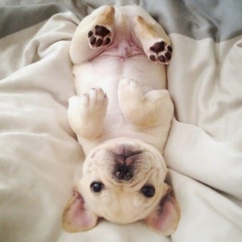 The life of a future PERRRA