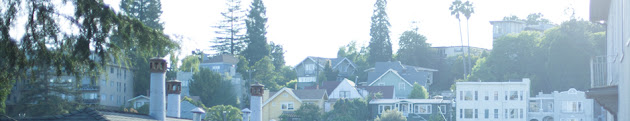 Cover photo
