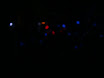DSC01409.JPG