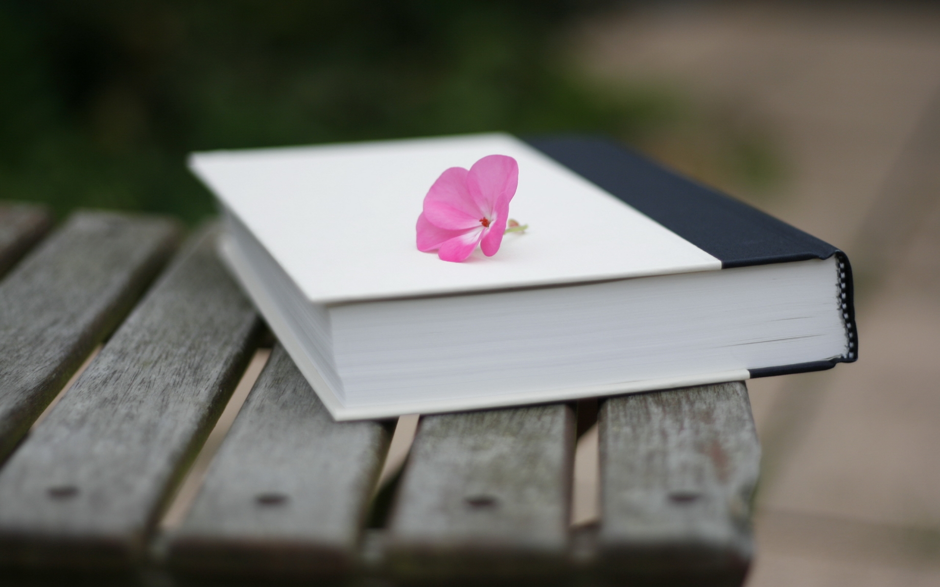 Mystery Wallpaper  Book With Flower