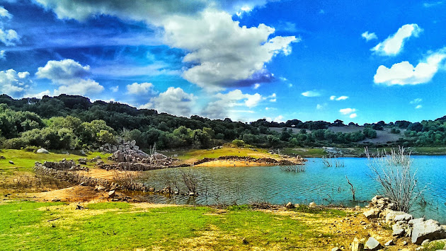 Cover photo