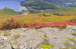 autumn colours above Cerro Bandera