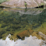 Pool on Erskine Creek (144486)
