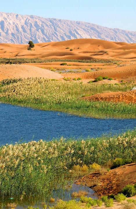 "Quad Lake" is a bit of a mystery, but it has now been a permanent and expanding body of water for several years. It is a source of life for reeds and all sorts of aquatic birds, as well as fish, frogs and many other species. Its location close to the wastewater recycling plant seems to indicate its origin but does not detract from its beauty.