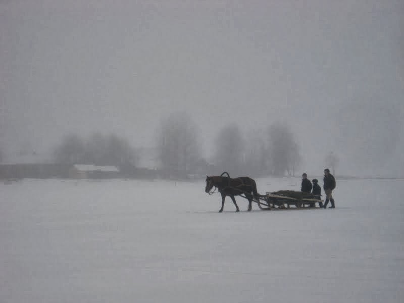 Кенозерский нацпарк - зимняя природа и жизнь Архангельской области