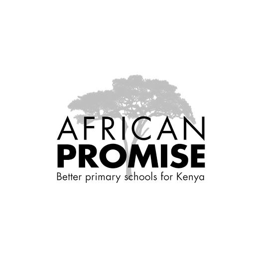 African Promise logo