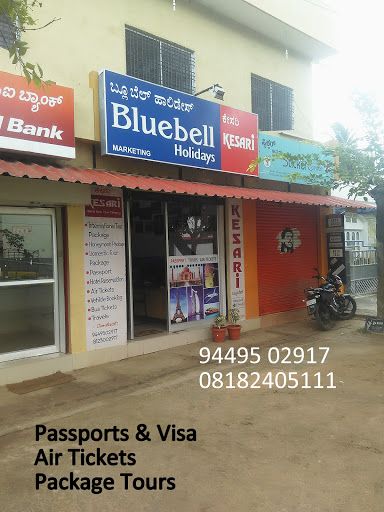 Bluebell Holidays, 100 Feet Road, Gandhi Nagar, Shivamogga, Karnataka 577201, India, Travel_Agents, state KA