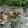 Veronika Graber Veronika Graber's profile photo