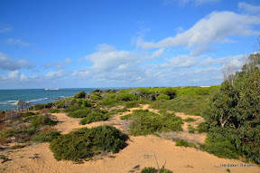 Andalusien, Rundreise, Heideker Reisen, Sevilla, Córdoba, Granada, Ronda, Nerja, Cadiz, Jerez de la Frontera, Gibraltar, Málaga