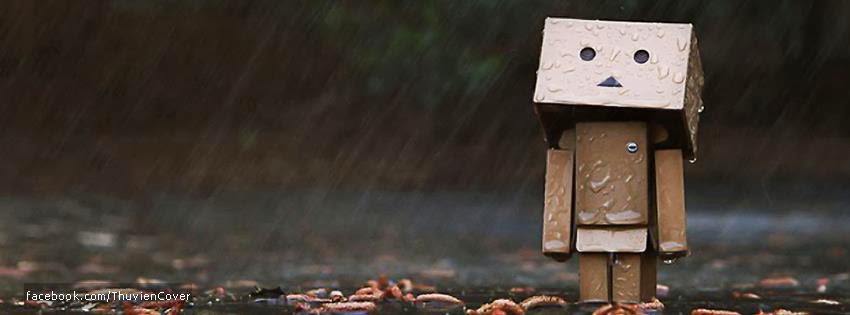 Ảnh bìa Danbo trong mưa Ảnh bìa Danbo trong mưa