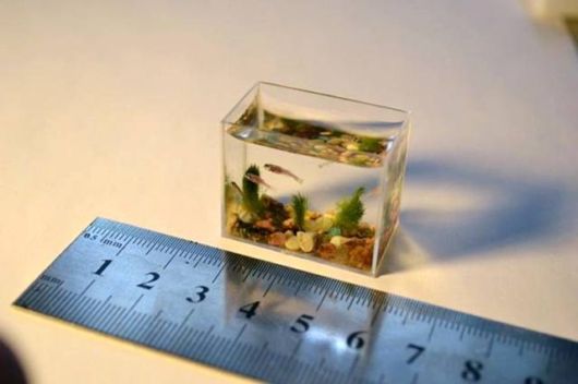  اصغر حوض سمك في العالم  Micro_miniature_art_aquarium_01