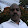 kapil samarasekara kapil samarasekara's profile photo