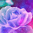 angelica tapia avatar image