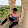 Shrikrishna Holla Shrikrishna Holla's profile photo