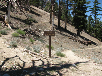 two trails diverge at a windy gap