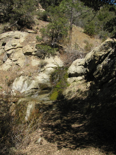 little waterfall coming down over the trail