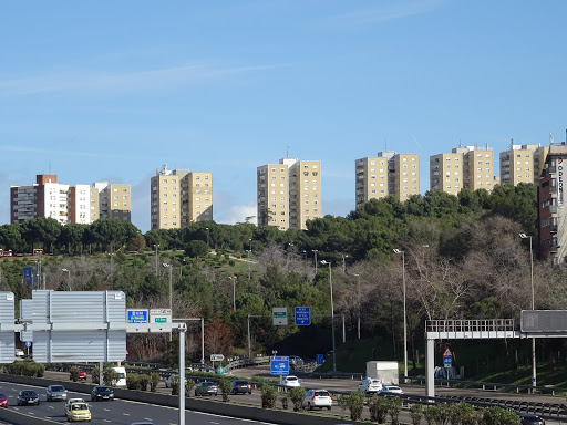 Parque de Roma