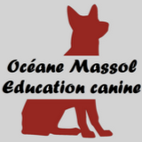 « Education canine – Océane Massol » Educateur Comportementaliste canin - Promeneur de chiens - Montpellier