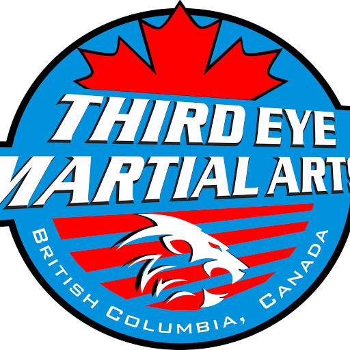 Third Eye Martial Arts logo