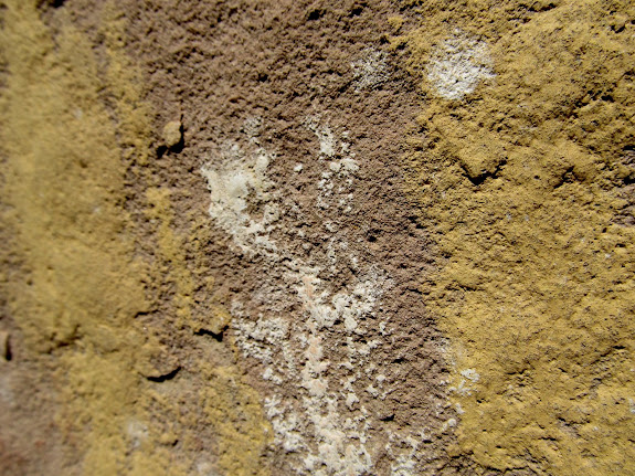 Closeup of white and yellow pigments