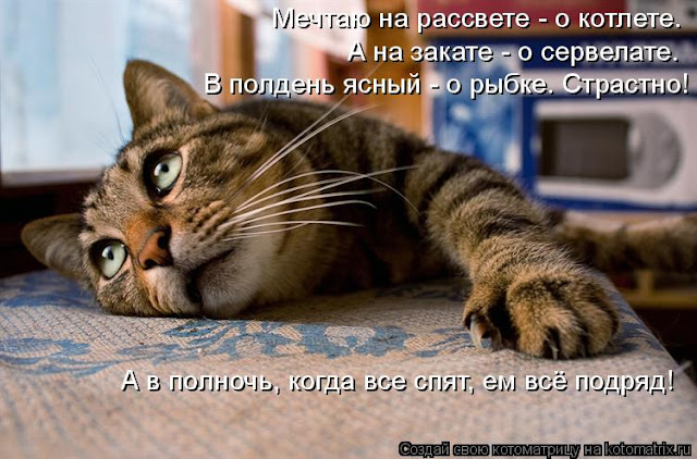 Ни дня без улыбки: начался июль... Ни дня без улыбки: начался июль...