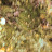 Léo Hubert avatar image