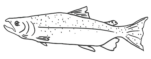 Download Time to Fly: FREE Salmon Coloring Pages