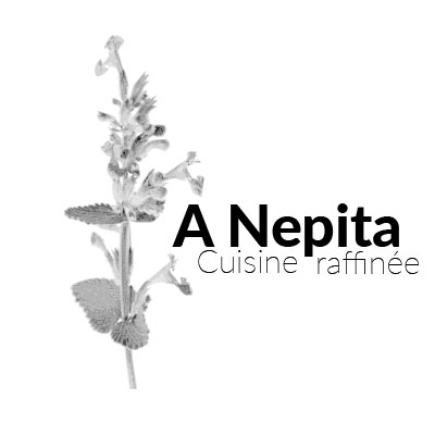 A Nepita logo
