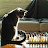 Nick Seidenman avatar image