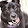 Brandon Donnell Brandon Donnell's profile photo
