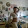 Anna Paola Venneri Anna Paola Venneri's profile photo