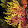 Toni Font Toni Font's profile photo