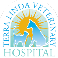 Terra Linda Veterinary Hospital