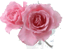 flor%2520rosa%2520isi.gif