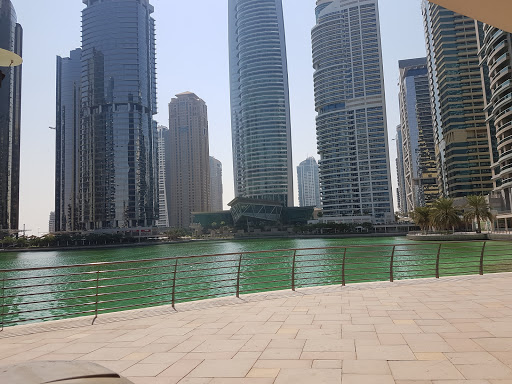 Indigo Icon Tower, Cluster F - Dubai - United Arab Emirates, Condominium Complex, state Dubai