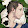 Kris Schnell Kris Schnell's profile photo