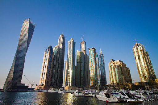 Algebra Contracting LLC, Dubai Investment Park 2 - Dubai - United Arab Emirates, Landscaper, state Dubai