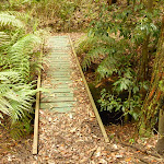 Timber bridge near the Pines Picnic area in the Watagans (322292)