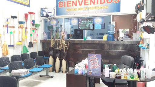 Surtidora De Productos De Limpieza, Av. Puerto Melaque 2687, San Isidro, 44740 Guadalajara, Jal., México, Servicio de limpieza | JAL