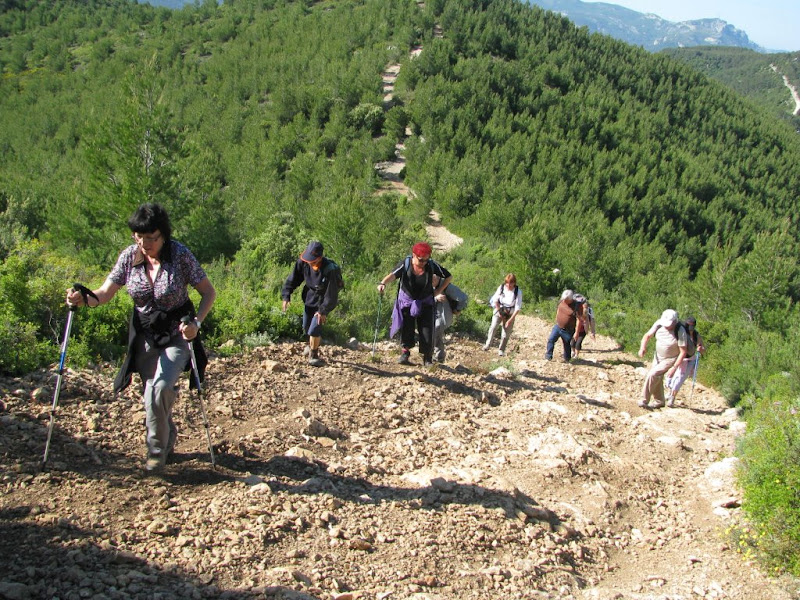 rando a st Jean du Puy  le 6 Juin 2013 IMG_1848