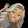 Diane Mccall Diane Mccall's profile photo